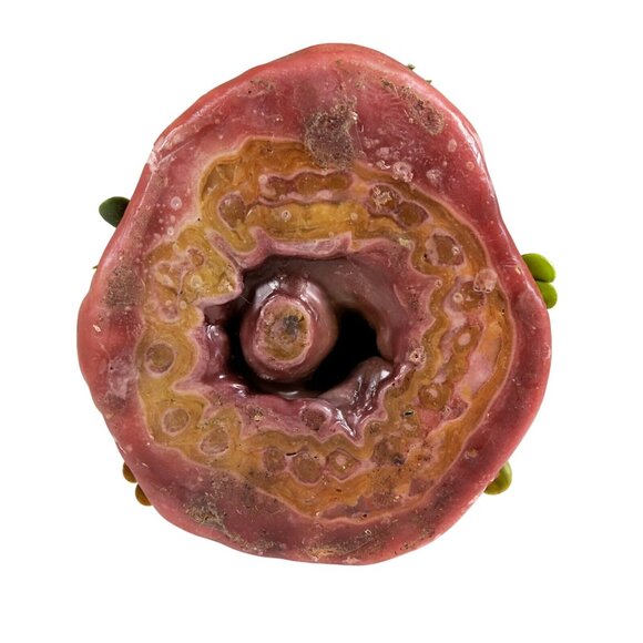 Vintage Tree Stump Candle – Gnome & Raccoon Scene, 1970s Boho Cottagecore Decor - Picture 7 of 8